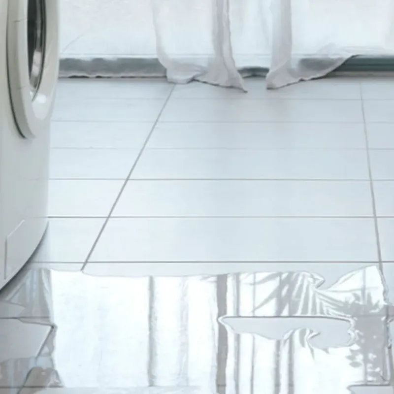 Appliance Leak Cleanup in Hall County, GA