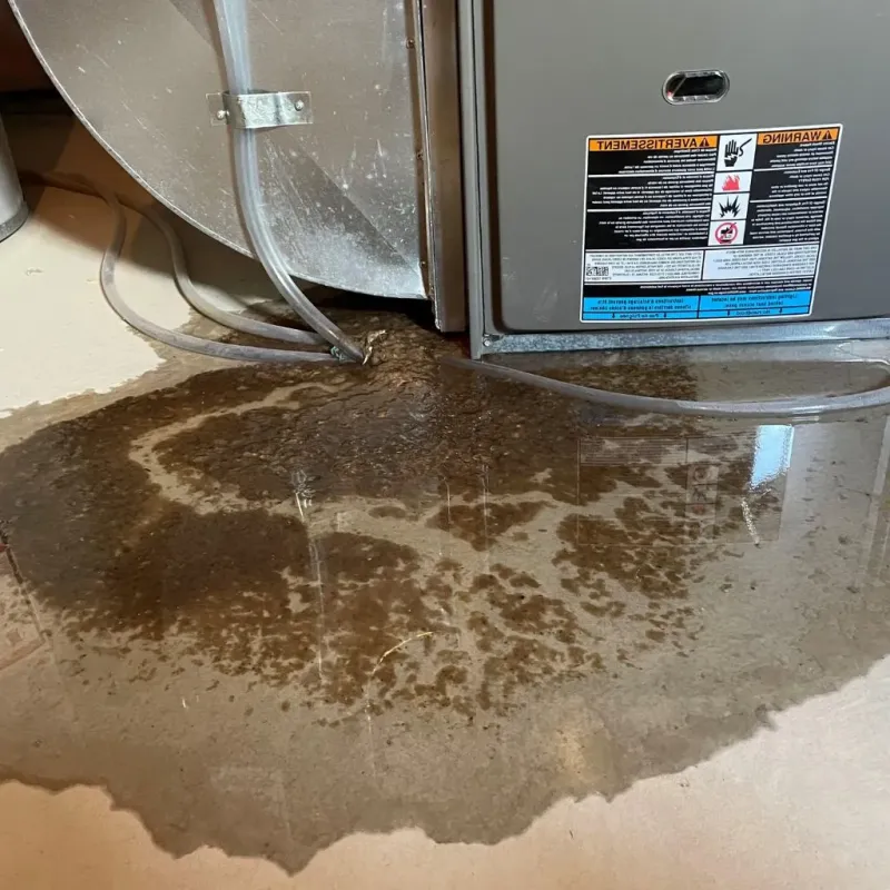 Pipe Burst and Leak Restoration in Hall County, GA