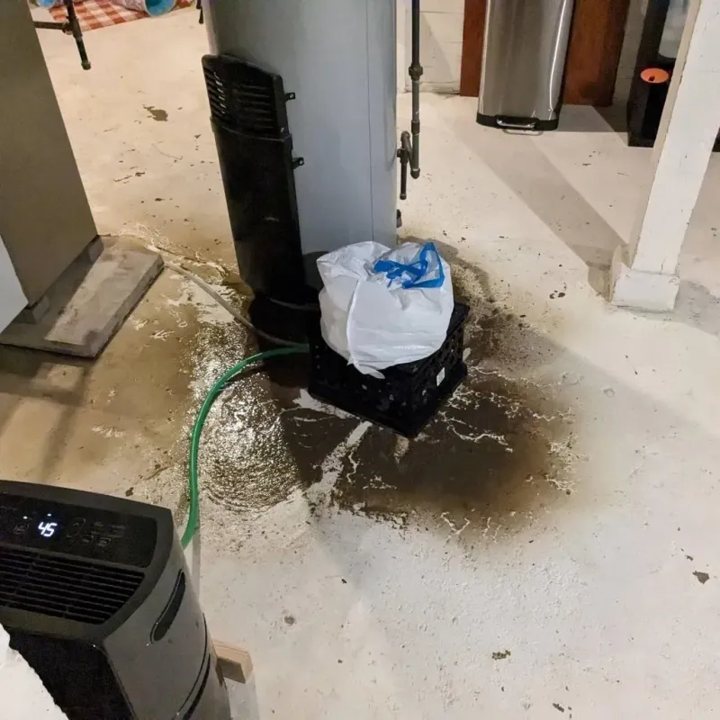 Sewage Backup Cleanup Service in Hall County, GA